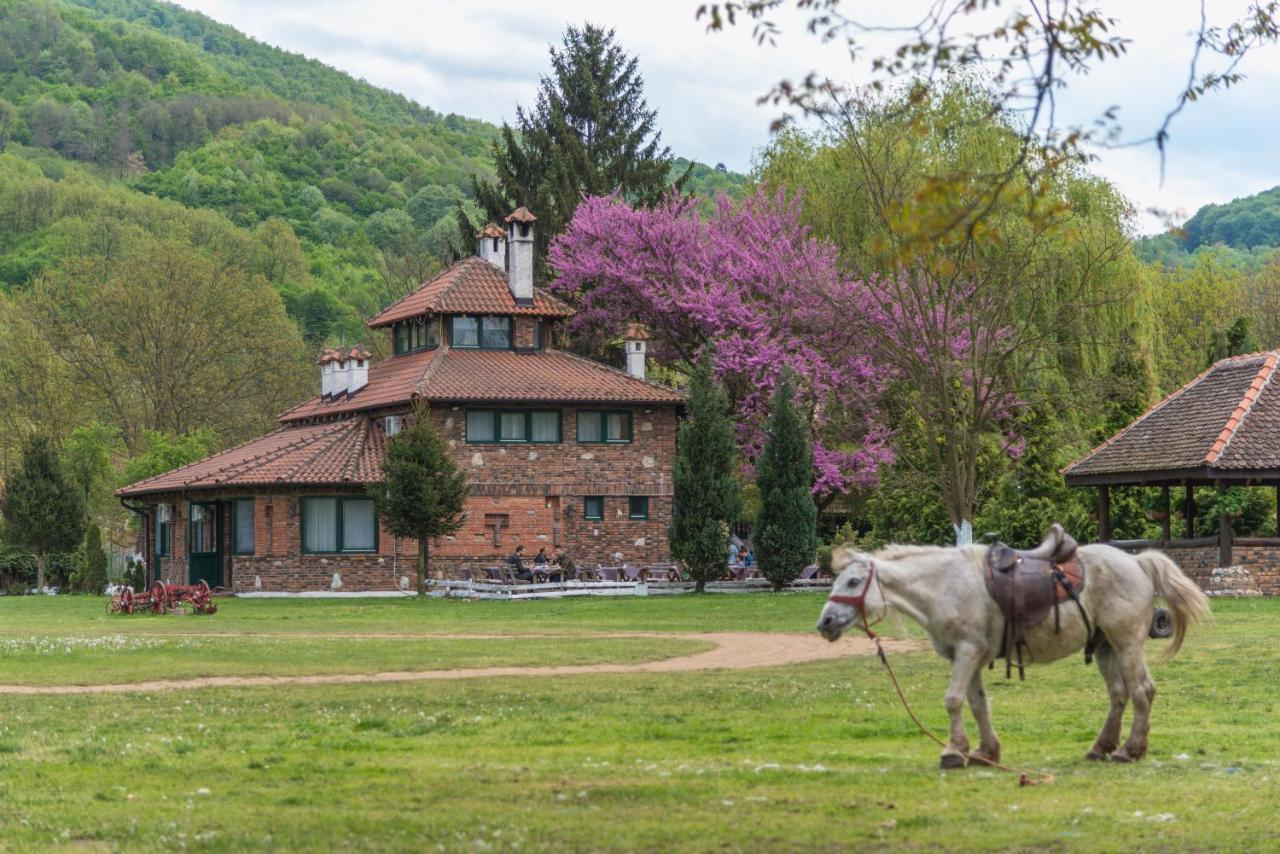 Banja Koviljača B&B Etno Village Suncana Reka מראה חיצוני תמונה